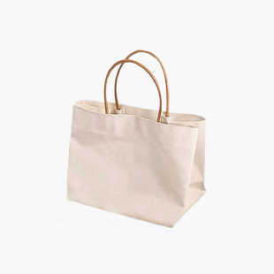 大容量帆布包2025新款 短途旅行包小众手提包手拎外出通勤单肩包