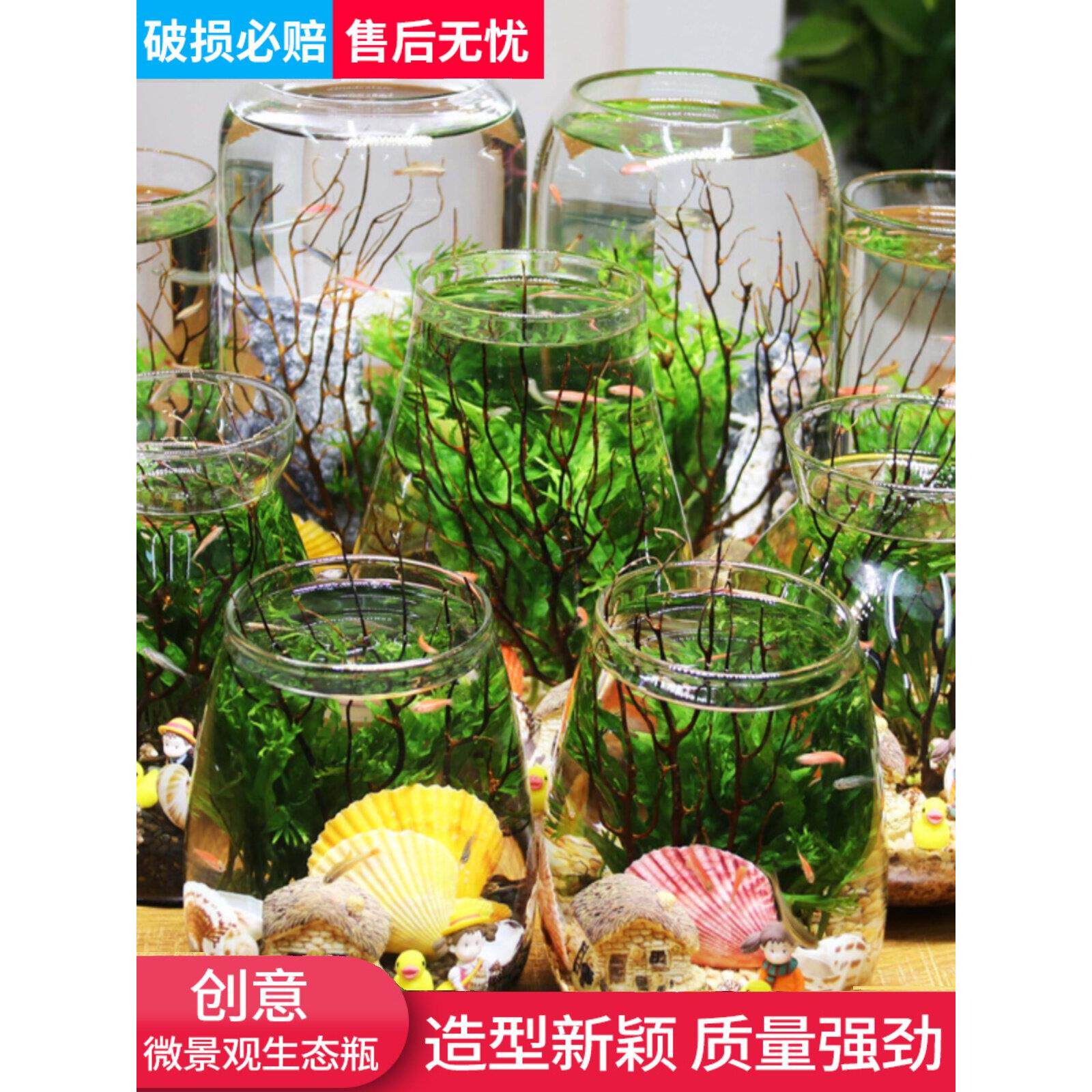 创意生态鱼缸超白造景懒人微景观DIY室内客厅迷你生态瓶免换水