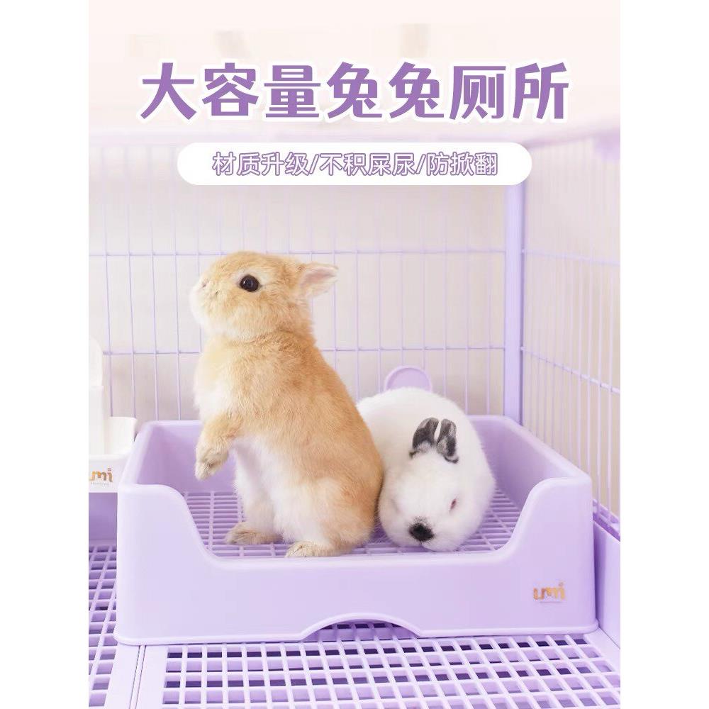 Umi兔子厕所大号防喷尿紫色高颜值兔兔便盆 宠物荷兰猪防掀翻托盘