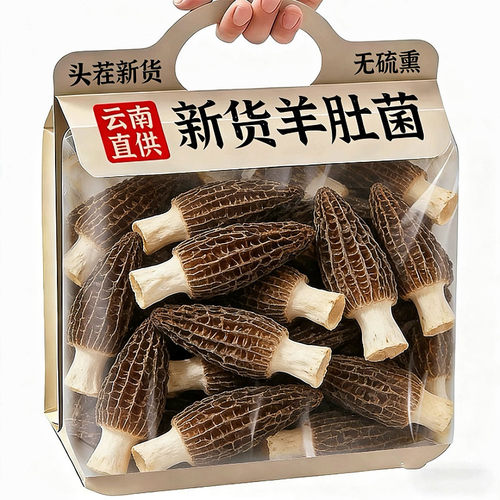 特级羊肚菌云南野生采摘健康无硫