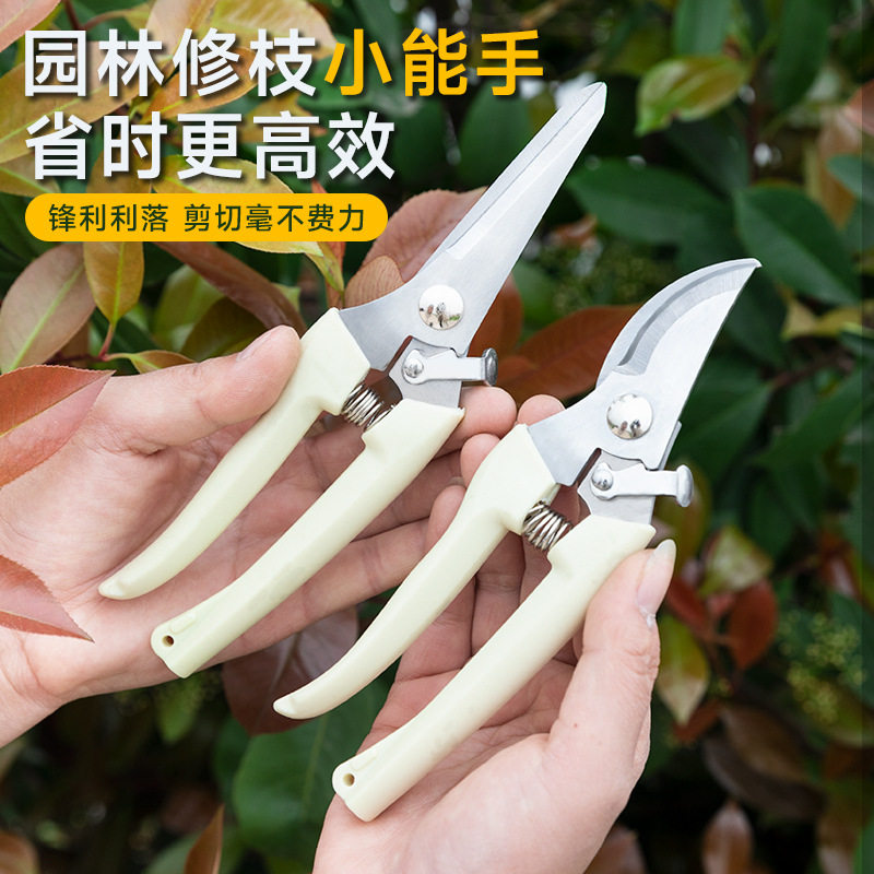 花艺剪子修枝剪弹簧手动摘果剪图片