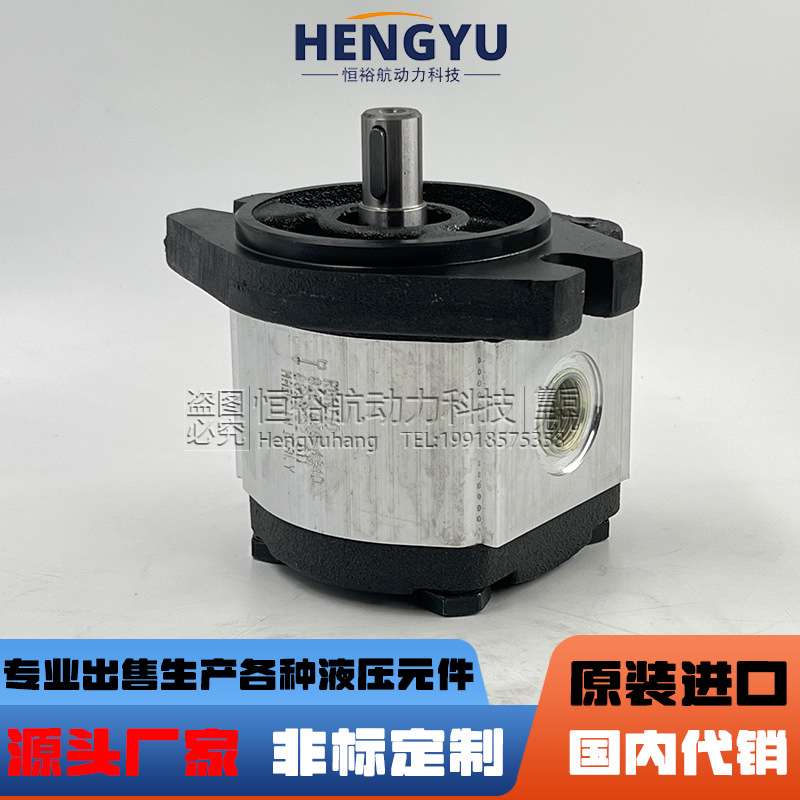 罗茨液压泵RONZIO齿轮泵 02ZCG25N438S泵02ZAG14C033D压力油泵高