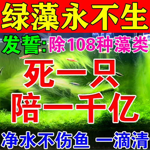 鱼缸除藻片去苔剂鱼缸壁清除绿藻
