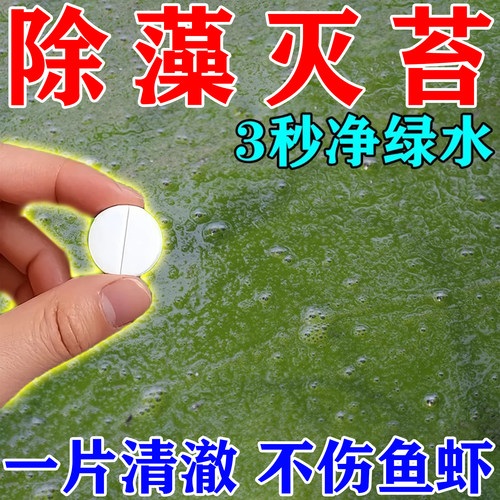 鱼池除藻去苔剂免打捞去除绿藻