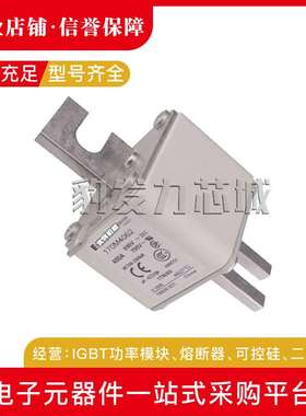 170M4061 170M4062 170M4063 170M4064 170M4065 170M4066熔断器