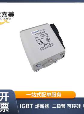 170M5248 170M5388 170M5398低压快速熔断器 电子元器件 库存充足