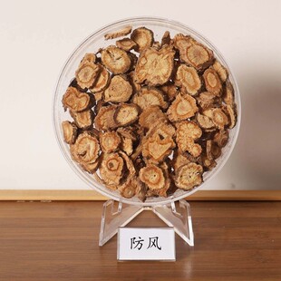 亚克力中药展示盒架子牡蛎穴位新型艺术辣椒艺术品洗头真空水晶画