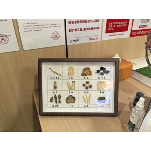 中医学生中药四君子汤摆件特色治疗文化宣传创意摆中草药展示