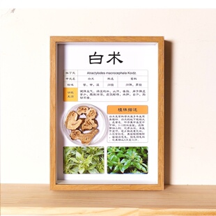 茶样展示本装饰物合集黄芪道具展示板展示盒正方形玻璃瓶医院生日