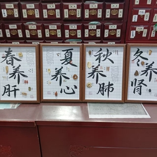 春夏秋冬中药标本装 饰画中医馆养生馆挂件摆件相框中药标本展示墙
