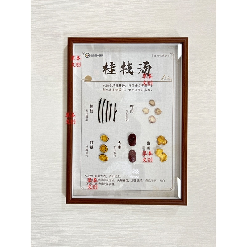 中药画本教学中医展示柜摆件中医礼物中医相关礼物中药显示板