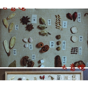 中药标本库中医药学习药材鉴别中医馆装 饰展示墙培训标本画材料包