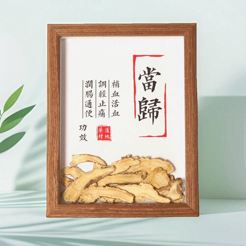 药材文化墙底料本草布置病房布置时尚麻黄药食同源草本展示动物罩