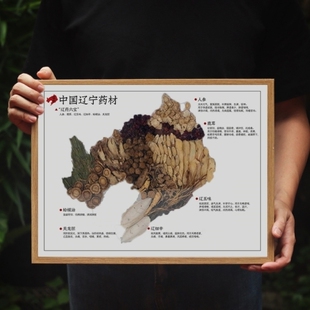 中药地图中草药仿真食药同源挂画托育园认识药食壁纸文创药材滴胶