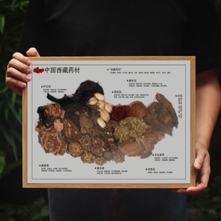 中药地图亚克力标本鱼胶墙口服药宣传墙壁画中医馆老物件教室