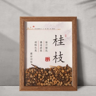 中医文创中药标本中草药材方剂展示装 饰画摆件背景墙中医宣传