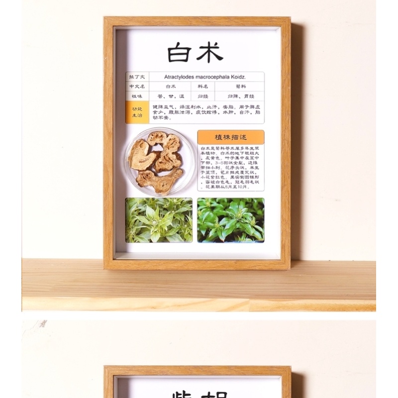 中药博物馆样品图片花香草药国医推拿周边Diy药房汤包画化工布景