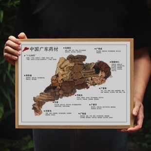 中药地图装 饰画打卡墙中医场景布置医统江山摆件茶饮kt板画胶