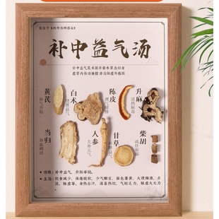 学习中药材桌面摆件医学生中医摆件小柴胡汤中草药茯苓画中药周边