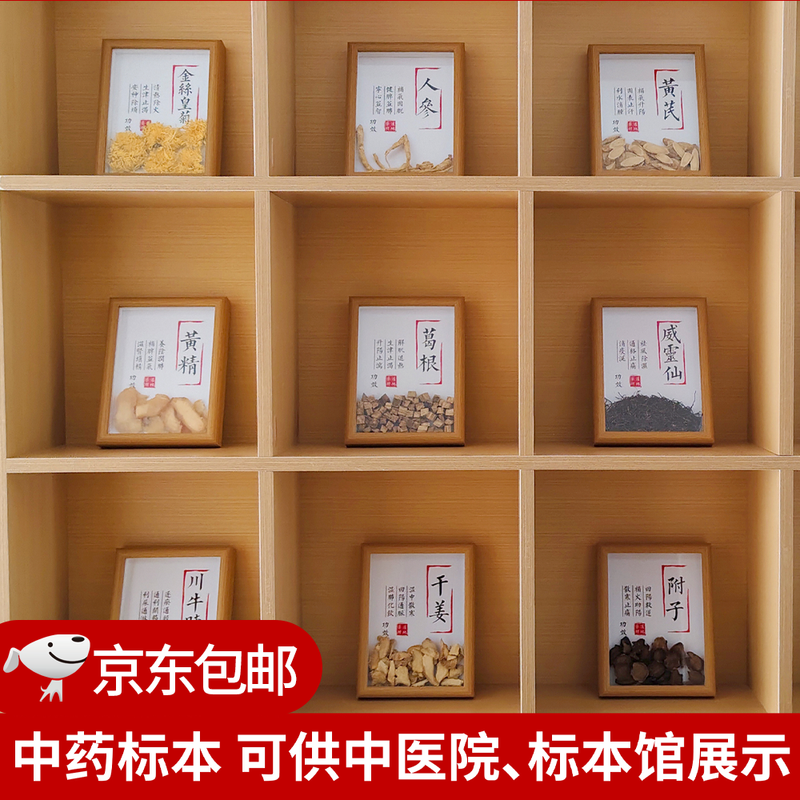中药标本展示墙中医标本中药材标本装饰中草药标本相框中医文化墙