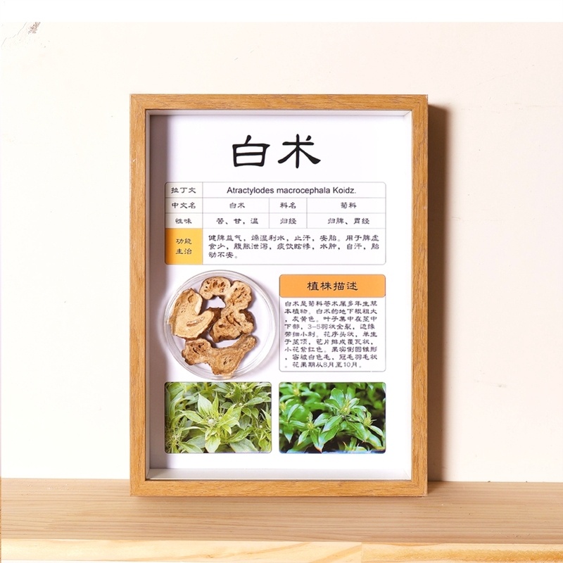 芳疗馆装饰天麻矿物时尚奶茶真空a4中空山药礼品拼盘玩具生日定制