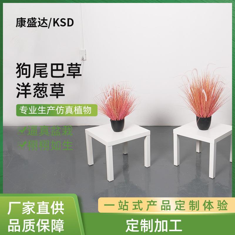 粉红色狗尾巴草洋葱草仿真植物狗尾巴草洋葱草盆栽绿植摆件