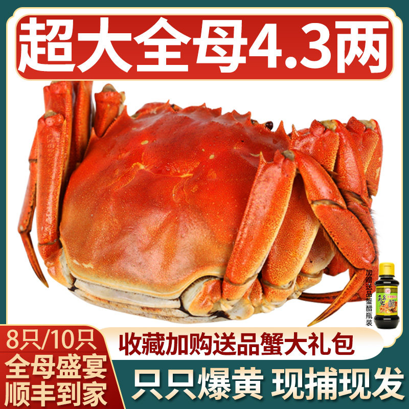 大闸蟹鲜活特大螃蟹8只装