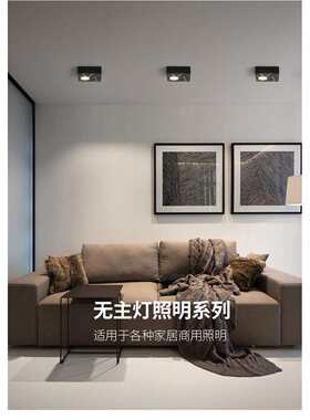 极简明装无主灯客厅照明卧室家用方形盒子斗胆灯过道灯格栅吸顶灯