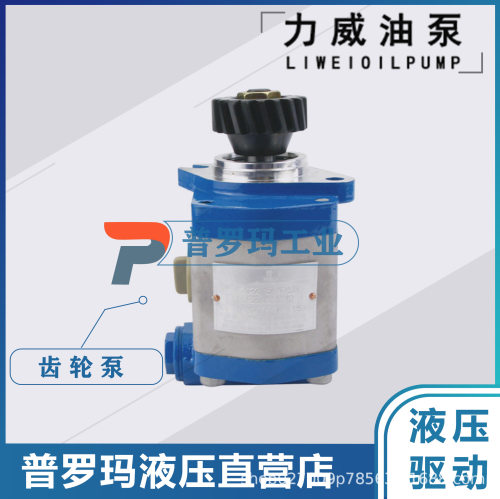 合肥力威液压3407020-155-CS2A客汽车 动力泵转向泵QC13/12-D10WX
