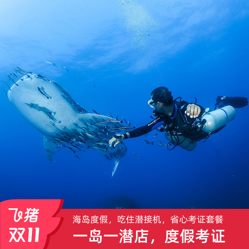 仙本那潜水课程