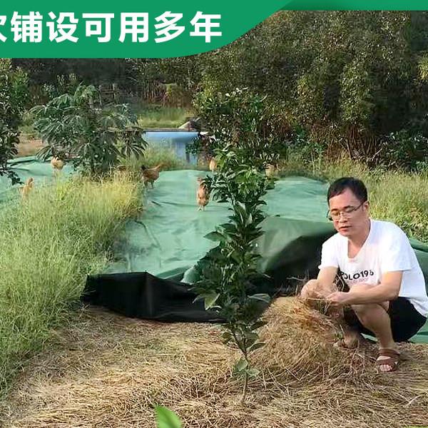 绿黑双色农用果树除草布防草布透气渗水除草膜防草膜地布可降解