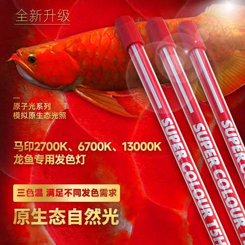 马印神灯6700K金红龙固色专用灯发色13000K防水鱼缸烤色灯2700K