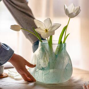 掬涵清影大肚玻璃花瓶吊钟马醉木水培器皿干花插花器高级感摆件