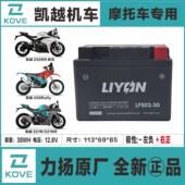 525X 250RR刺鸟400X 凯越321R F500X 450Rally MX250电瓶