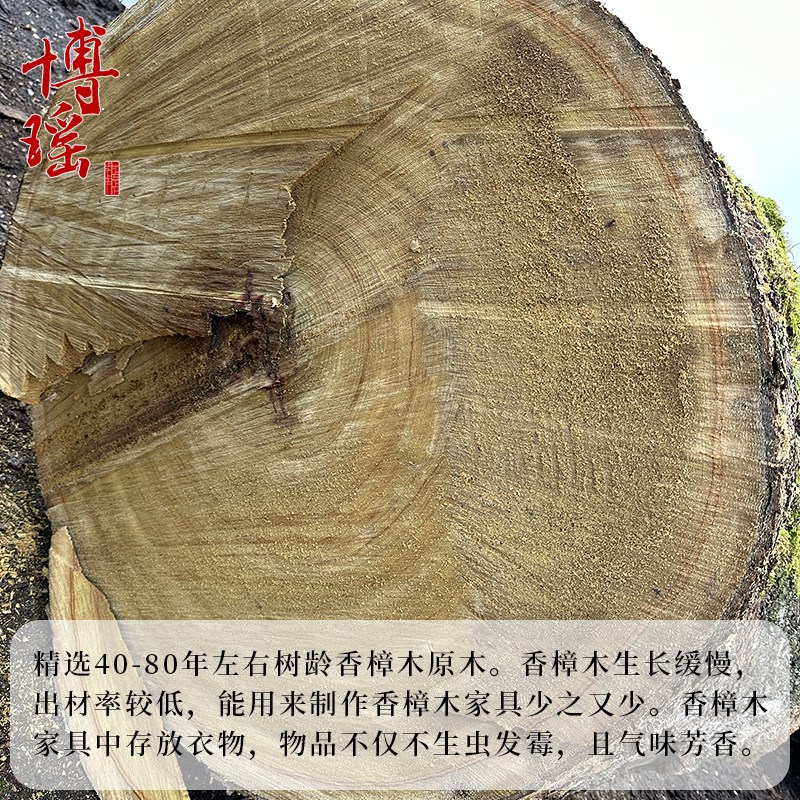 香樟木原木实木放鞋柜防虫除臭玄关柜家用门口两三四门新中式储物