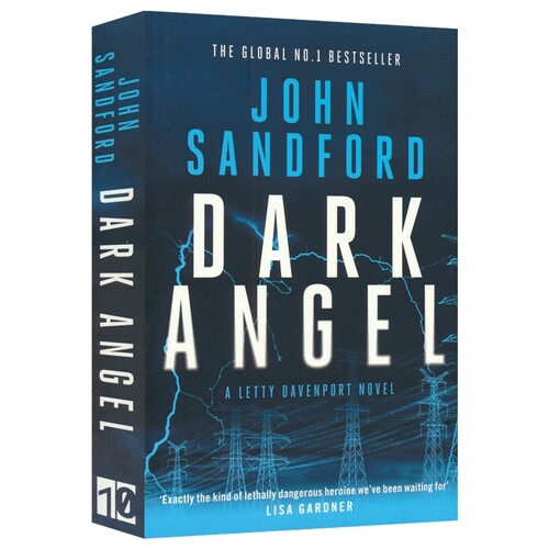 Dark Angel (The Letty Davenport series 2) 黑暗天使 青少年章节小说 英文原版进口图书