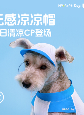 【夏日爆品】宠物无感凉凉帽狗狗帽子超萌包挂凉凉衣搭配