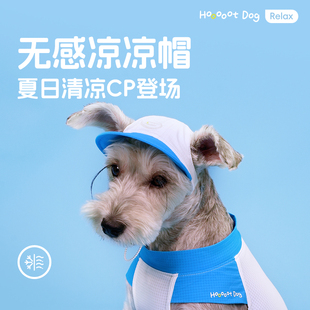 【夏日爆品】宠物无感凉凉帽狗狗帽子超萌包挂凉凉衣搭配