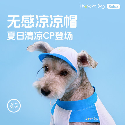 【夏日爆品】宠物无感凉凉帽狗狗帽子超萌包挂凉凉衣搭配