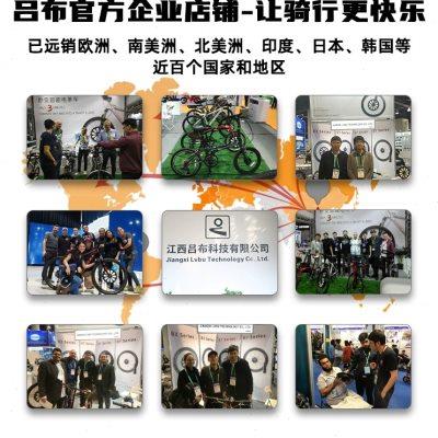 吕布云轮自行车改装电动马达高速无刷永磁有齿前置外转子电机零件
