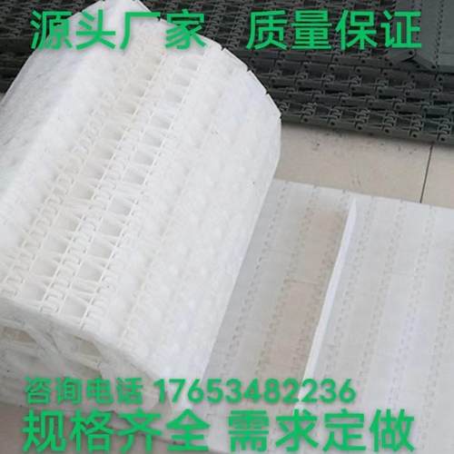 塑料链板输送带可定制耐高温耐腐蚀果蔬清洗传动带尼龙网带网链厂