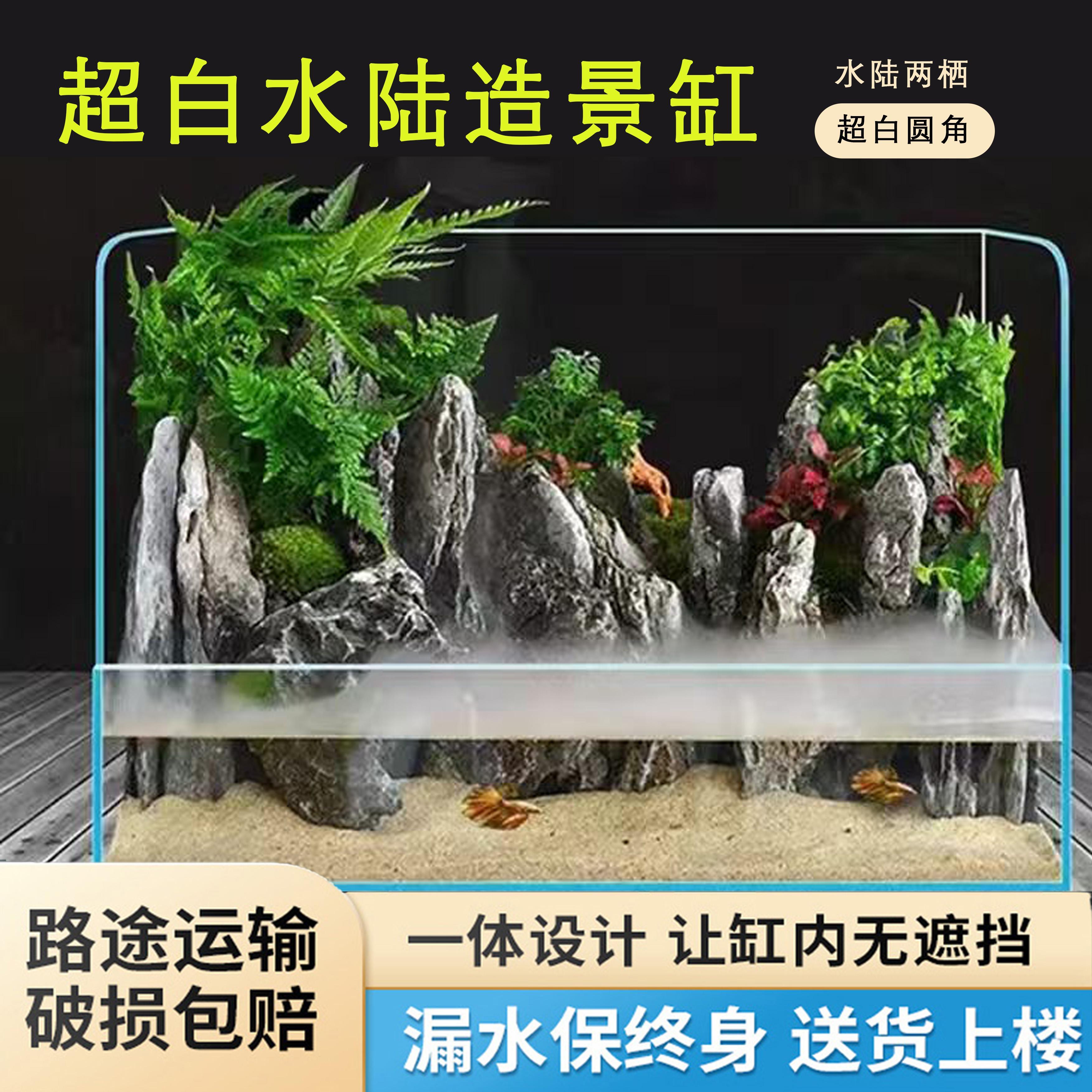 水陆两栖缸金晶超白鱼植物造景玻璃缸客厅办公室微景观生态乌龟缸