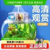 yee圆形鱼缸客厅小型金鱼缸防摔办公桌面高透观赏缸古法养鱼水缸