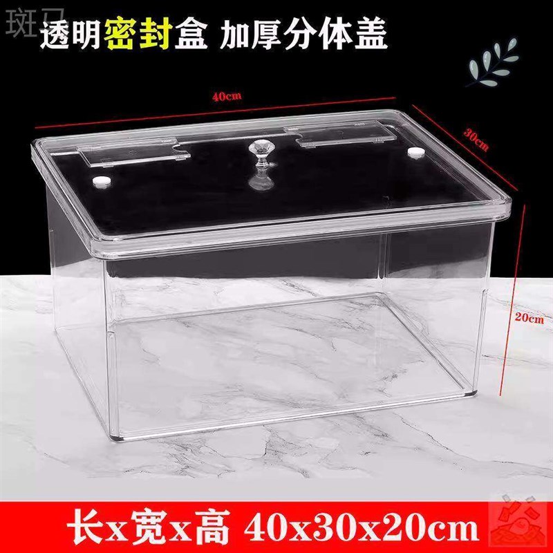 热销泡菠萝专用缸装卖盐水菠萝的罐子摆摊容器塑料超市货架陈列展