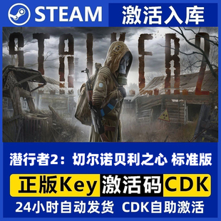 Steam正版 cdk 潜行者2：切尔诺贝利之心现货秒发激活码