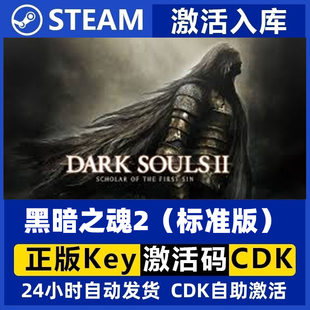 Steam正版国区 黑暗之魂2:原罪学者 黑魂2CDKey激活码永久入库cdk