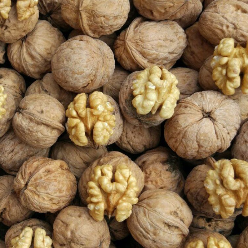 2024年新货山西汾阳吕梁山核桃 原味大核桃 干果坚果解馋零食批发