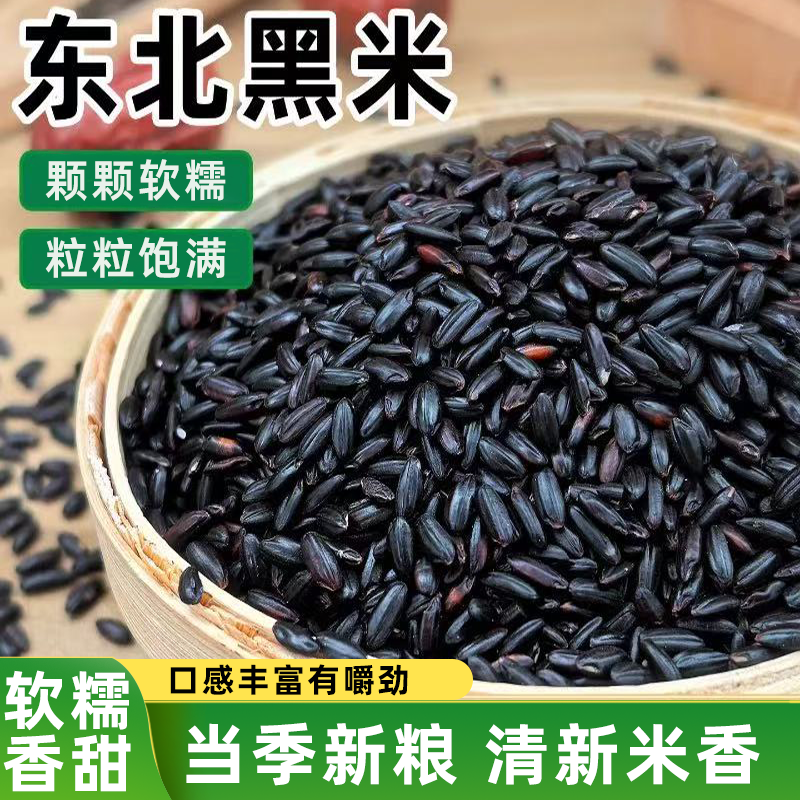 东北农家新黑米无染色黑大米五谷杂粮口感香浓粒大饱满软糯香甜