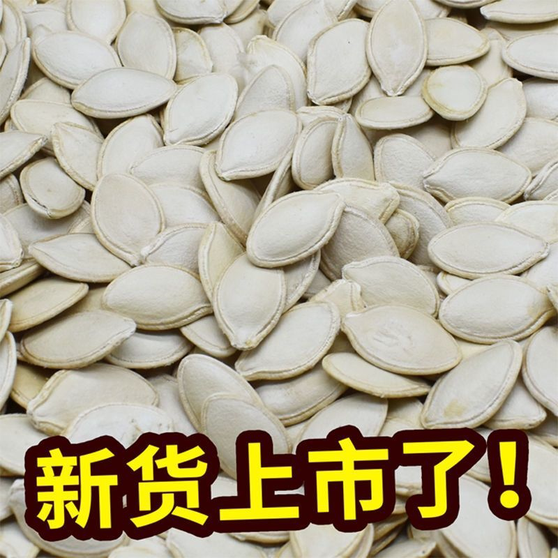 2025内蒙古新货无添加新鲜生南瓜子特大颗粒白南瓜籽坚果零食批发