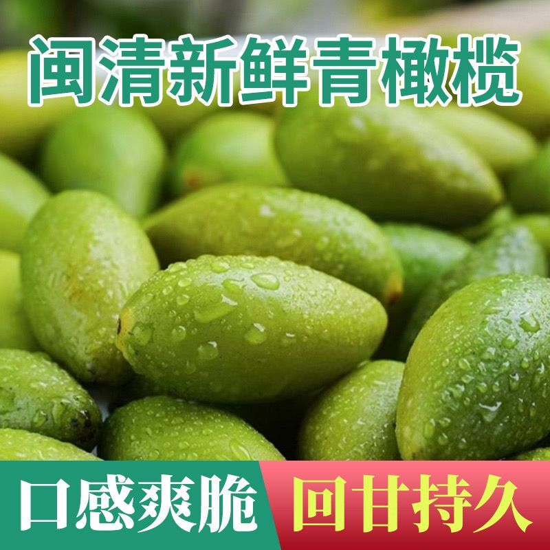 福建特产青橄榄果新鲜檀香原味青橄榄煲汤回甘开胃无糖无添加